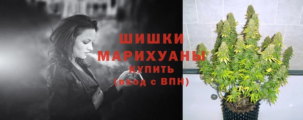 ALPHA PVP Козельск