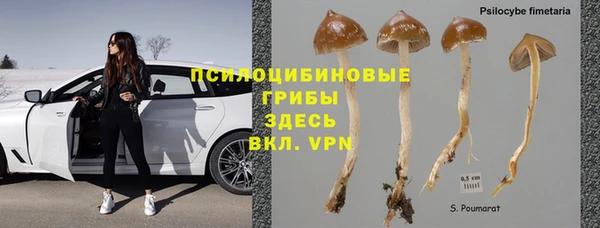 дурь Козловка