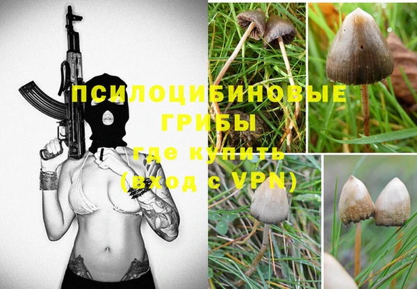 дурь Козловка