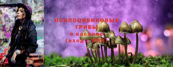 дурь Козловка
