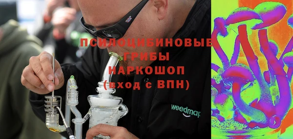 дурь Козловка