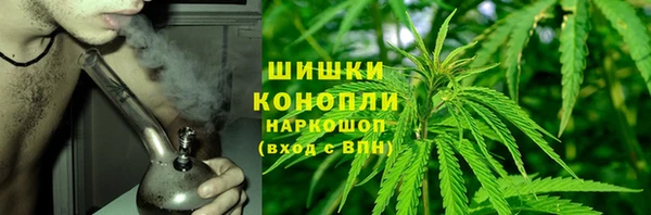 дурь Козловка