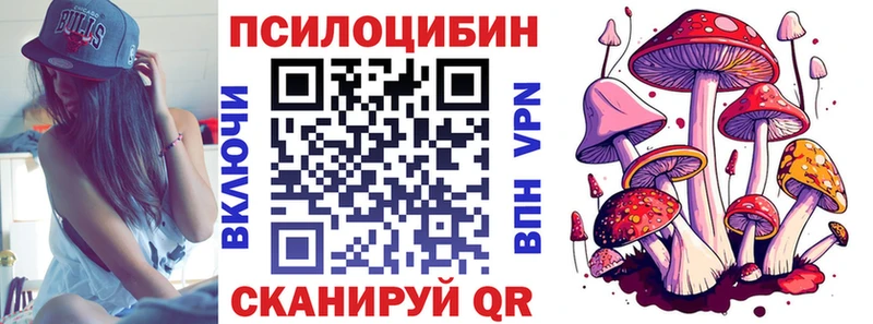 Галлюциногенные грибы Cubensis  Купить где  Бор 